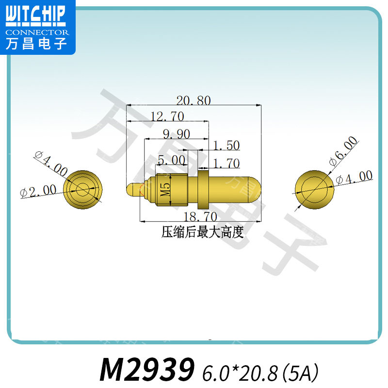 M2939 6.0×20.8（5A） 